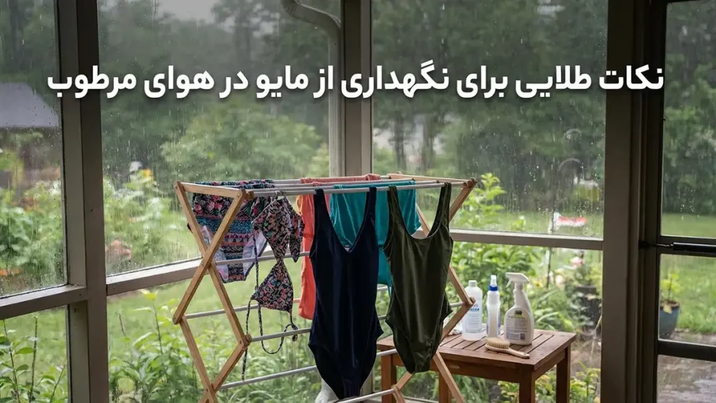 مایو مناسب آبوهوای شرجی: راهنمای جامع برای انتخابی خنک نکات طلایی برای نگهداری مایو در شرایط آبوهوایی مرطوب