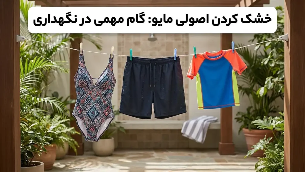 چطور مایو را ضدکلر نگه داریم: راهنمای جامع افزایش ماندگاری خشک کردن اصولی مایو: گام مهمی در نگهداری