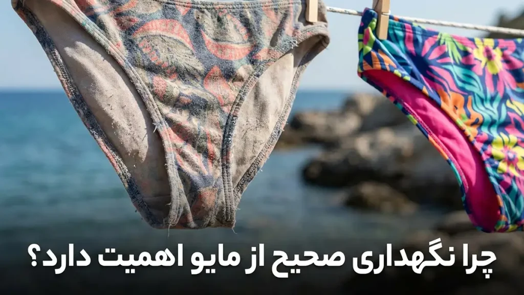 راهنمای جامع نگهداری از مایو: افزایش طول عمر و حفظ زیبایی چرا نگهداری صحیح از مایو اهمیت دارد؟