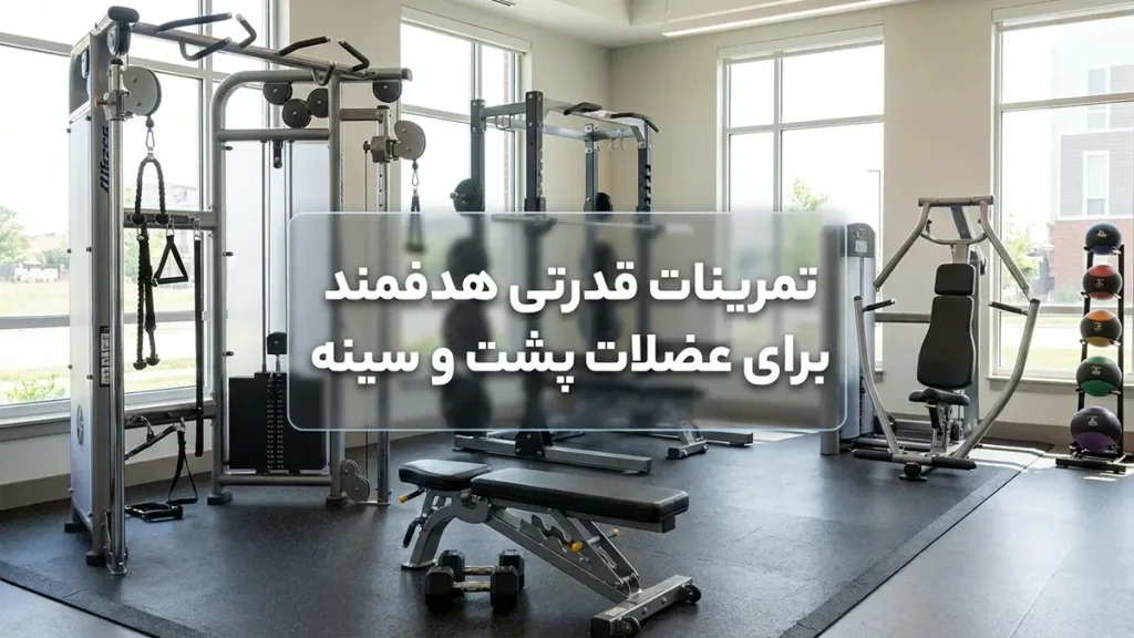 بهترین حرکت برای چربی خط سوتین: رویکردی جامع و علمی تمرینات قدرتی هدفمند برای عضلات پشت و سینه